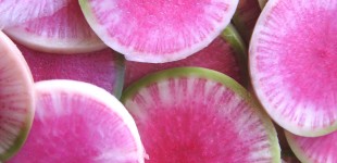 watermelon radishes