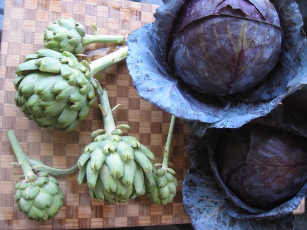 cabbage and artichoke