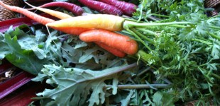 carrots and kale